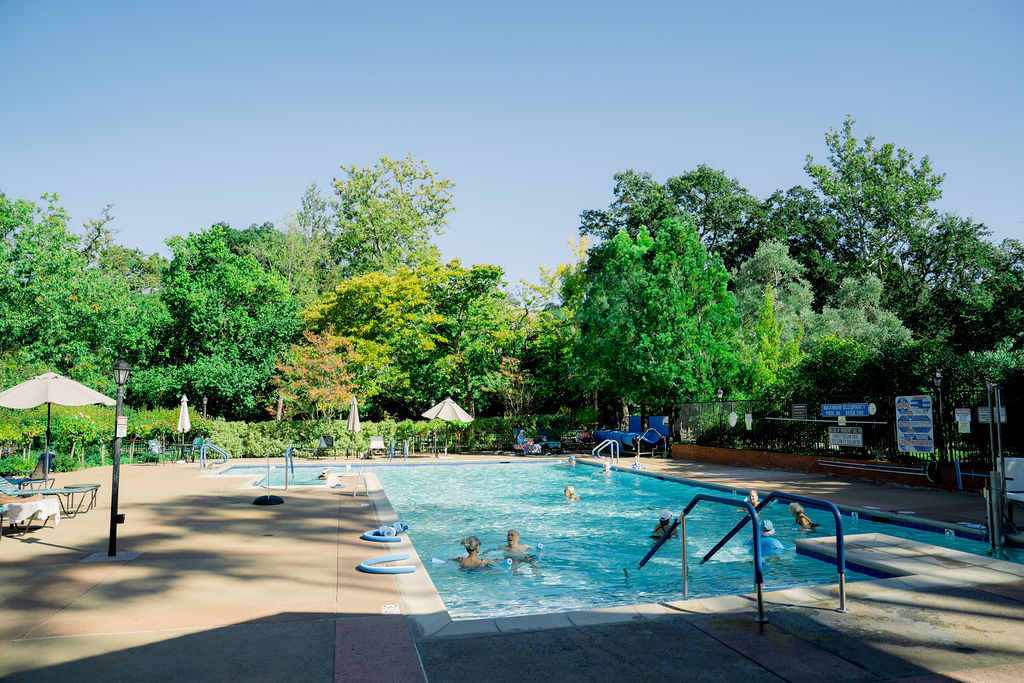 Swimmers in the dollar pool
