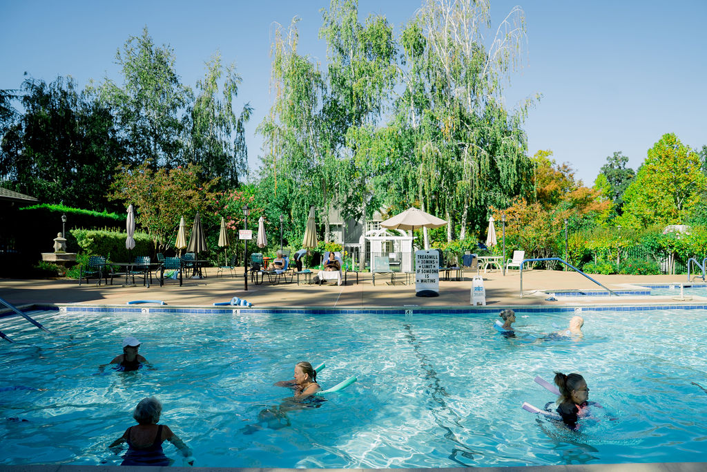 Swimmers in the dollar pool