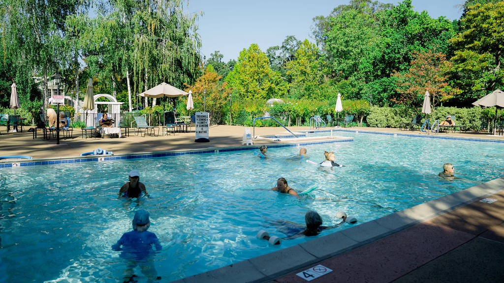 Dollar Swimming Pool