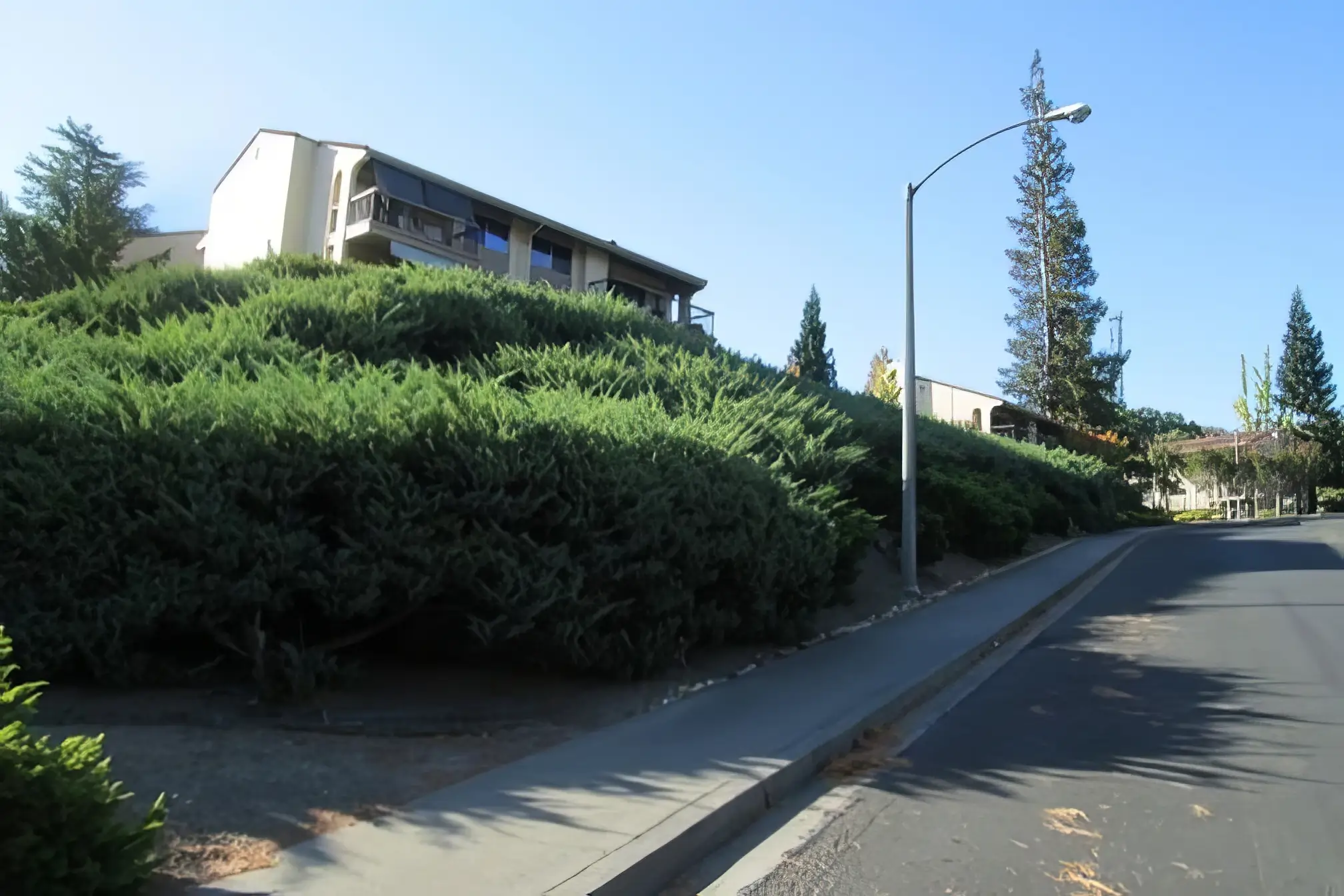 Juniper Removal before3.2-topaz1